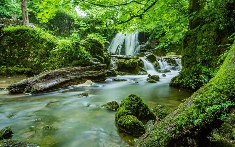 高效先进